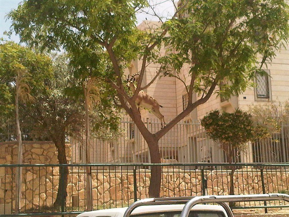 Ramon Suites By Smart Hotels Mitzpe Ramon Exterior photo